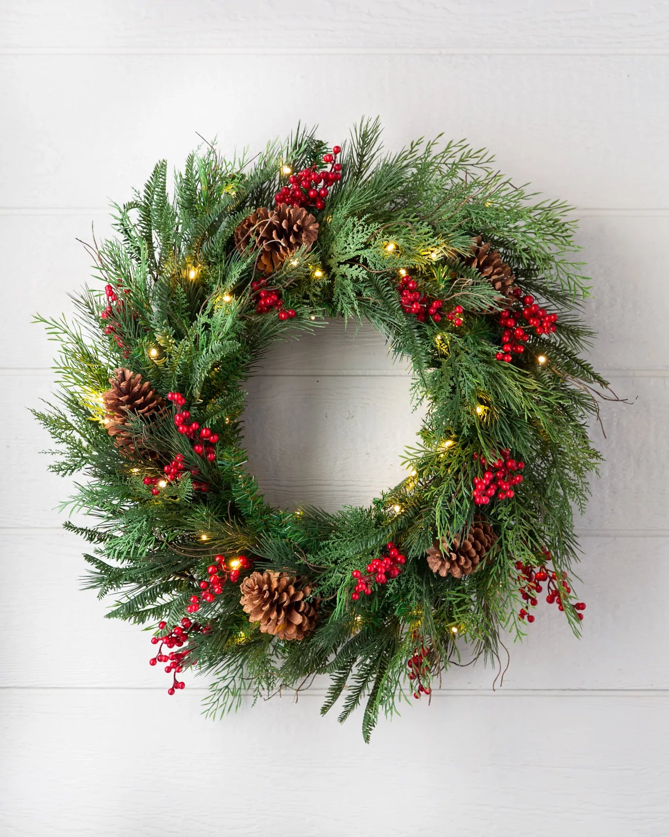 Outdoor Red Berry Pine Foliage